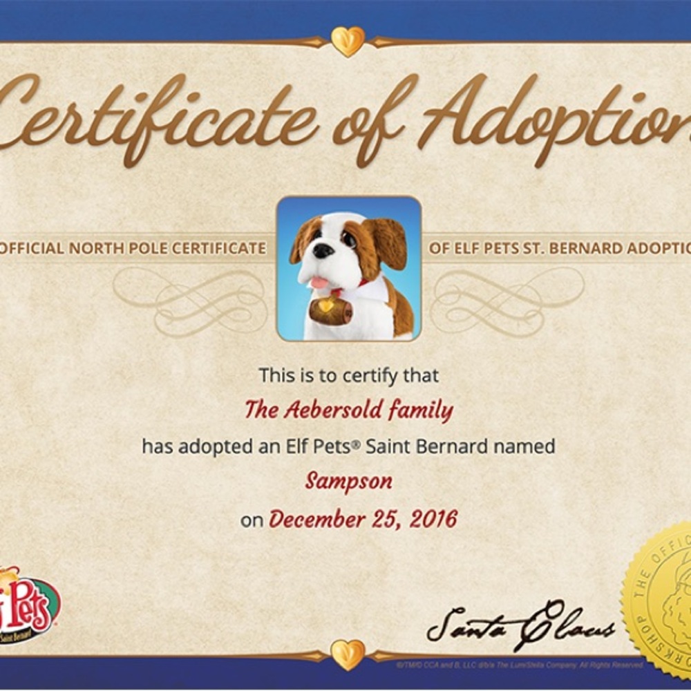 The Elf on the Shelf Elf Pets St. Bernard Plush + Custom Adoption Certificate - Picture 7 of 7
